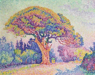 The Pine Tree at St. Tropez, 1909